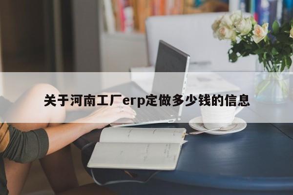 关于河南工厂erp定做多少钱的信息