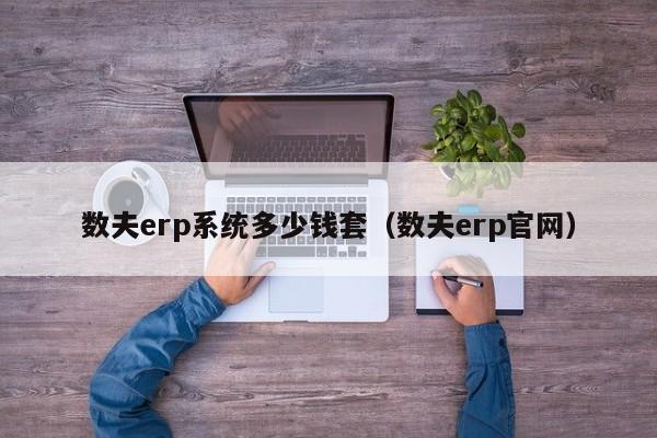 数夫erp系统多少钱套（数夫erp官网）