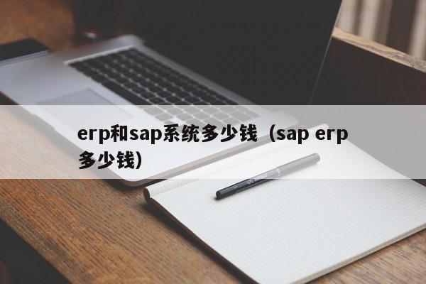 erp和sap系统多少钱（sap erp多少钱）