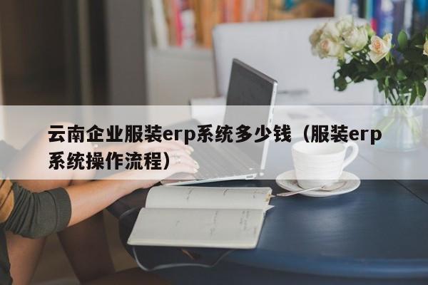 云南企业服装erp系统多少钱（服装erp系统操作流程）