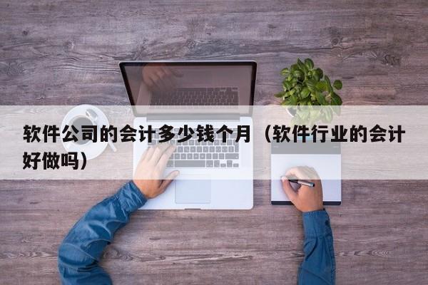 软件公司的会计多少钱个月（软件行业的会计好做吗）