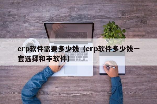 erp软件需要多少钱（erp软件多少钱一套选择和丰软件）