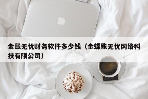 金账无忧财务软件多少钱（金蝶账无忧网络科技有限公司）