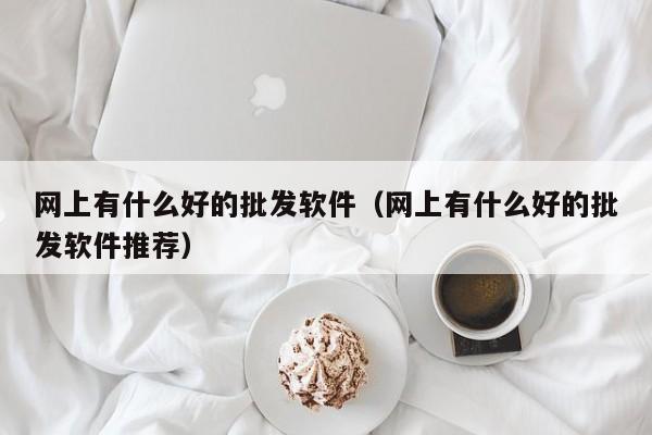 网上有什么好的批发软件（网上有什么好的批发软件推荐）