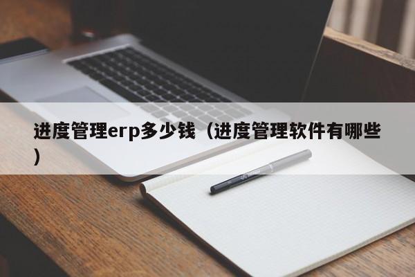 进度管理erp多少钱（进度管理软件有哪些）