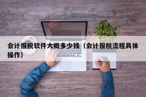 会计报税软件大概多少钱（会计报税流程具体操作）