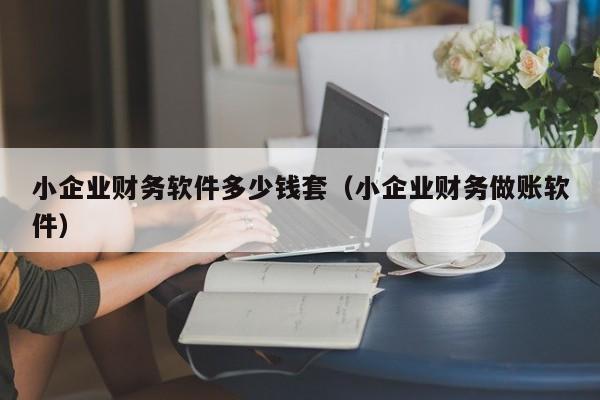 小企业财务软件多少钱套（小企业财务做账软件）