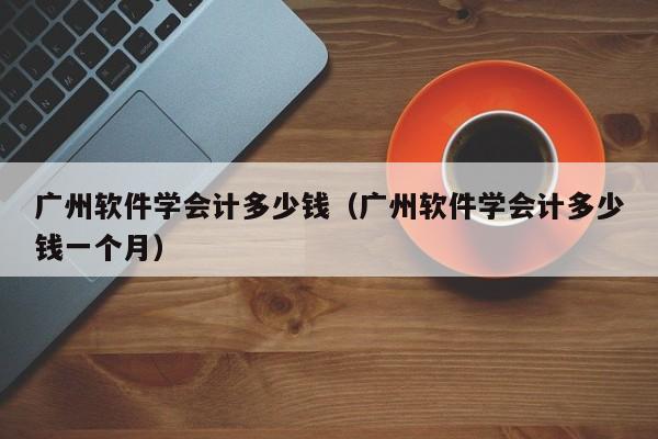 广州软件学会计多少钱（广州软件学会计多少钱一个月）