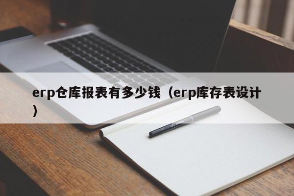 erp仓库报表有多少钱（erp库存表设计）