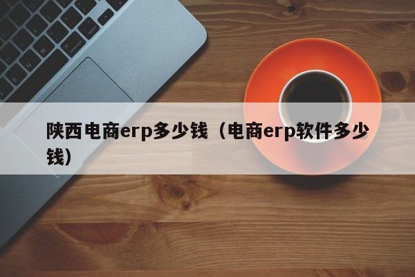 陕西电商erp多少钱（电商erp软件多少钱）