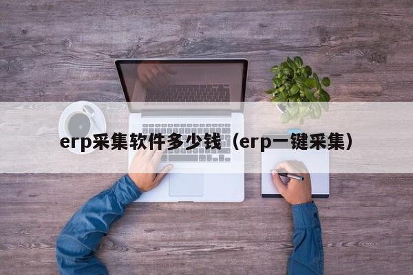 erp采集软件多少钱（erp一键采集）