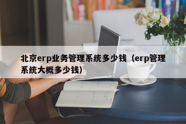 北京erp业务管理系统多少钱（erp管理系统大概多少钱）