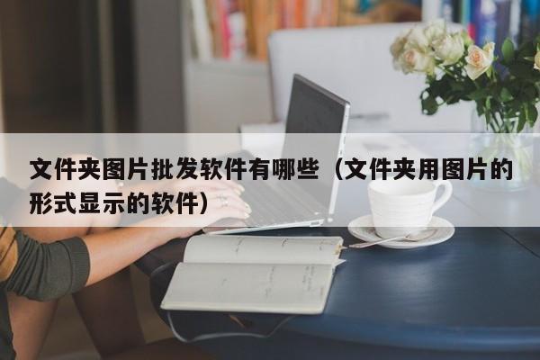 文件夹图片批发软件有哪些（文件夹用图片的形式显示的软件）