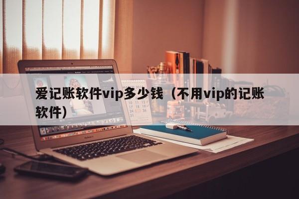 爱记账软件vip多少钱（不用vip的记账软件）