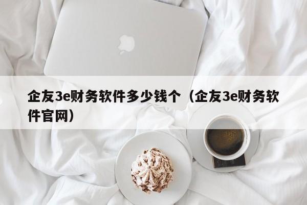 企友3e财务软件多少钱个（企友3e财务软件官网）