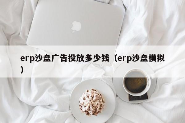 erp沙盘广告投放多少钱（erp沙盘模拟）