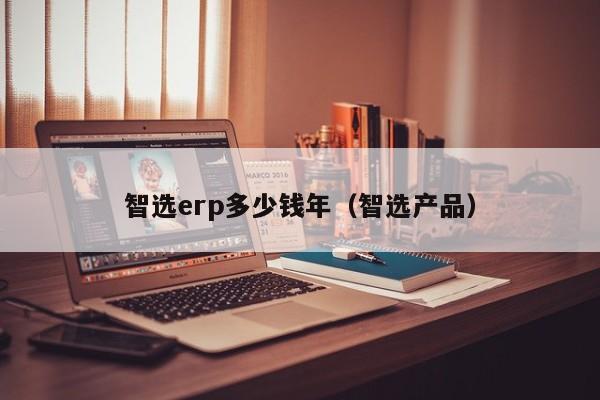 智选erp多少钱年（智选产品）