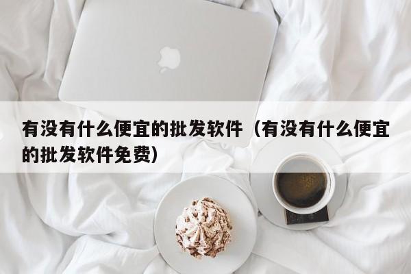 有没有什么便宜的批发软件（有没有什么便宜的批发软件免费）