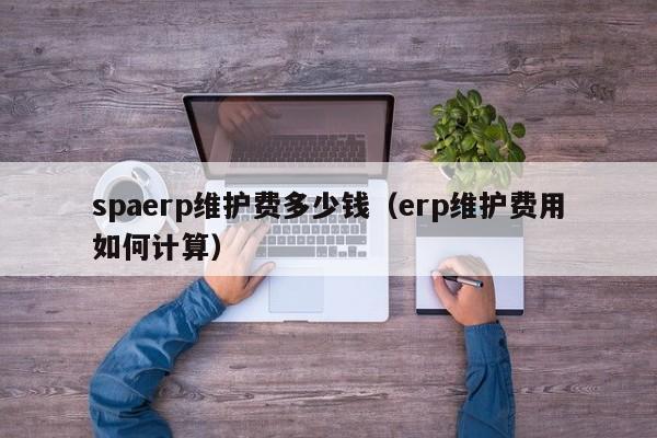 spaerp维护费多少钱（erp维护费用如何计算）