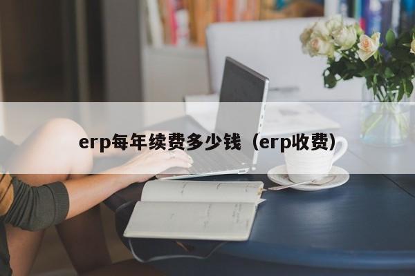 erp每年续费多少钱（erp收费）