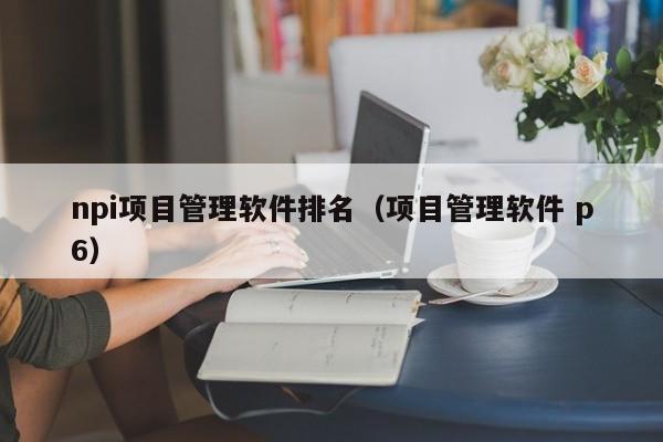 npi项目管理软件排名（项目管理软件 p6）