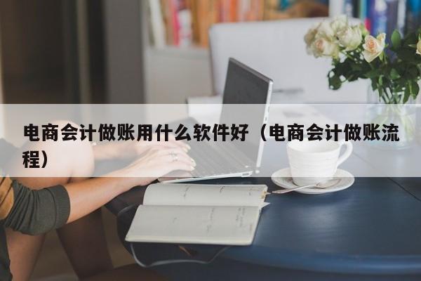 电商会计做账用什么软件好（电商会计做账流程）