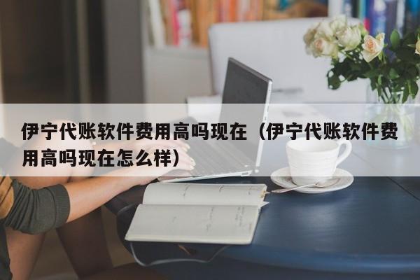 伊宁代账软件费用高吗现在（伊宁代账软件费用高吗现在怎么样）