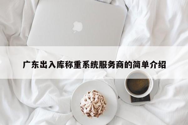 广东出入库称重系统服务商的简单介绍