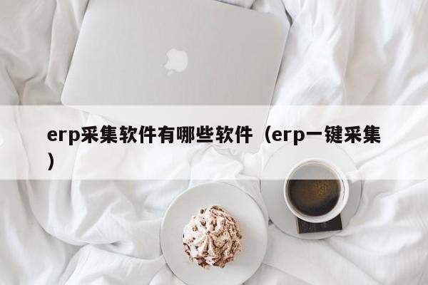 erp采集软件有哪些软件（erp一键采集）