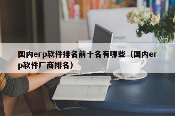 国内erp软件排名前十名有哪些（国内erp软件厂商排名）