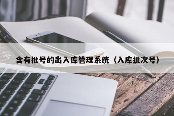 含有批号的出入库管理系统（入库批次号）