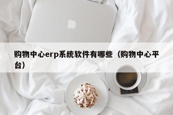 购物中心erp系统软件有哪些（购物中心平台）