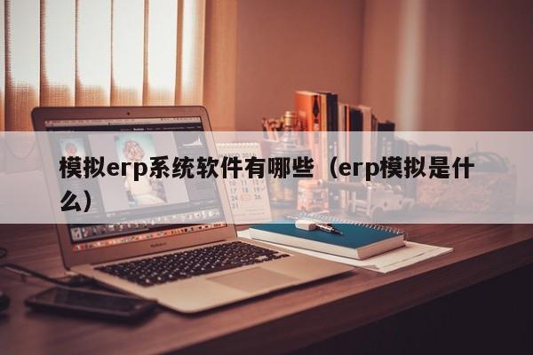 模拟erp系统软件有哪些（erp模拟是什么）