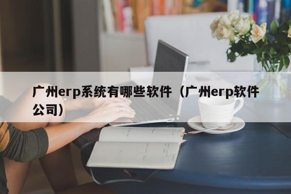 广州erp系统有哪些软件（广州erp软件公司）