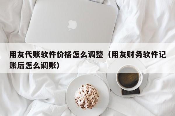 用友代账软件价格怎么调整（用友财务软件记账后怎么调账）