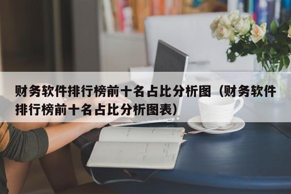 财务软件排行榜前十名占比分析图（财务软件排行榜前十名占比分析图表）