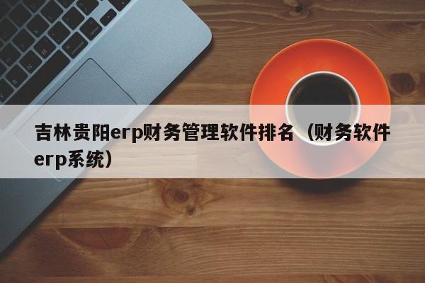 吉林贵阳erp财务管理软件排名（财务软件erp系统）