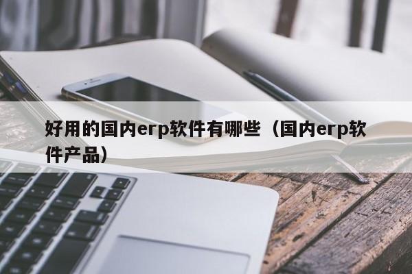 好用的国内erp软件有哪些（国内erp软件产品）