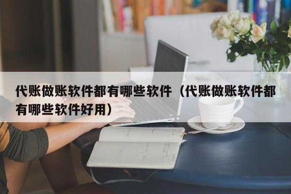 代账做账软件都有哪些软件（代账做账软件都有哪些软件好用）