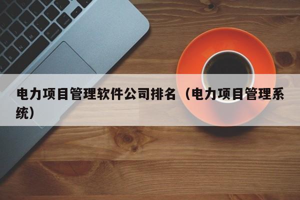 电力项目管理软件公司排名（电力项目管理系统）