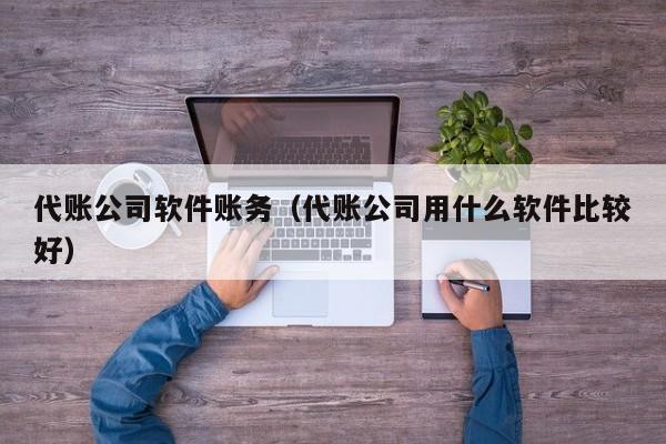 代账公司软件账务（代账公司用什么软件比较好）