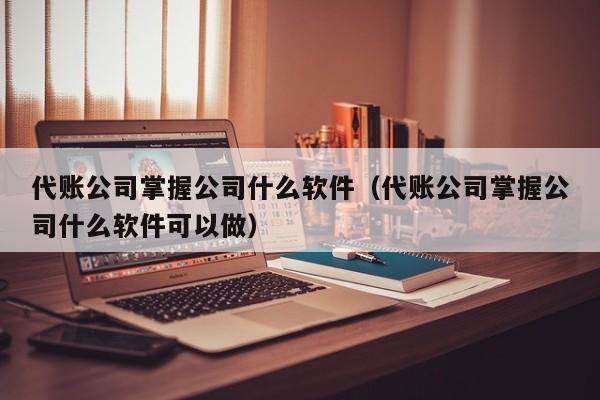 代账公司掌握公司什么软件（代账公司掌握公司什么软件可以做）