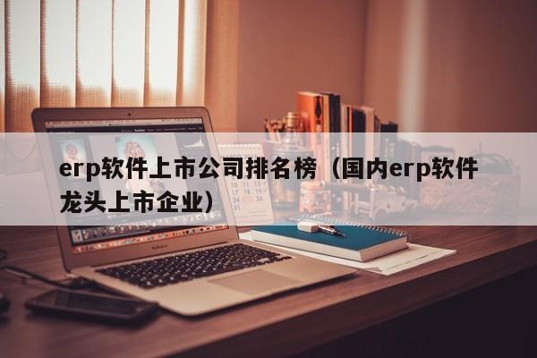 erp软件上市公司排名榜（国内erp软件龙头上市企业）