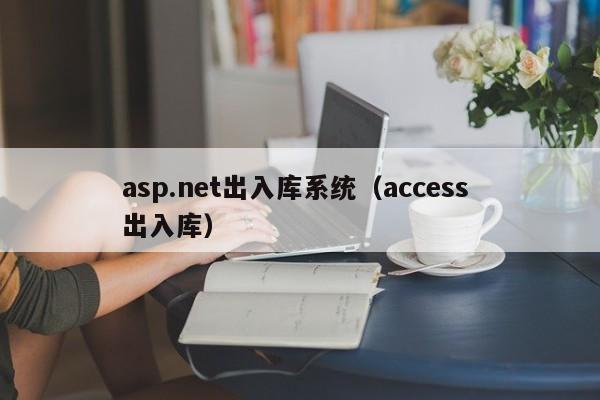 asp.net出入库系统（access 出入库）