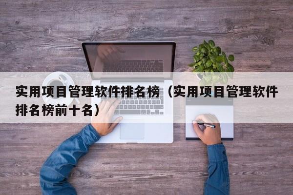 实用项目管理软件排名榜（实用项目管理软件排名榜前十名）