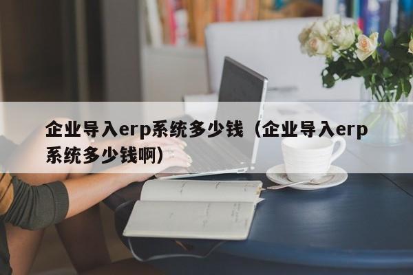 企业导入erp系统多少钱（企业导入erp系统多少钱啊）