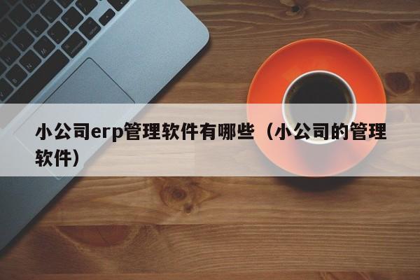 小公司erp管理软件有哪些（小公司的管理软件）