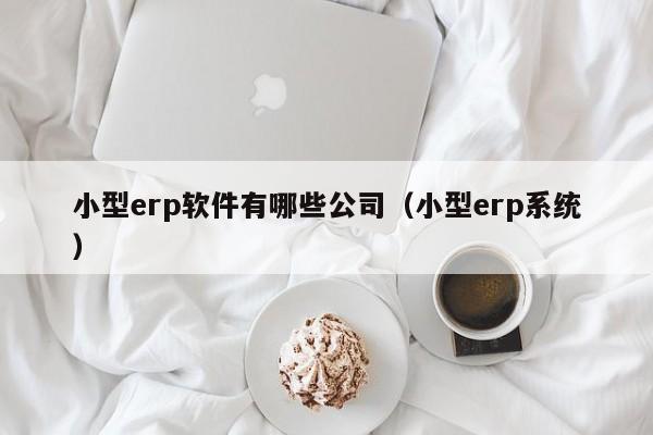 小型erp软件有哪些公司（小型erp系统）