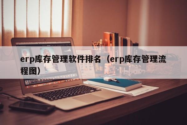 erp库存管理软件排名（erp库存管理流程图）