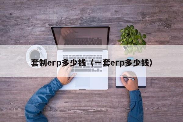 套制erp多少钱（一套erp多少钱）